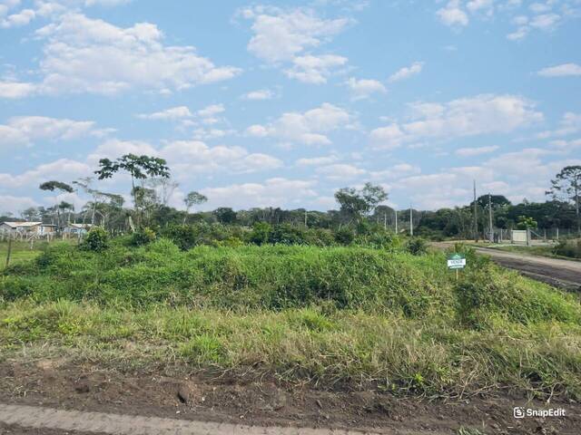 #2893 - Terreno para Venda em Balneário Barra do Sul - SC - 2