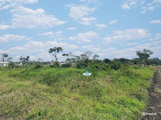#2893 - Terreno para Venda em Balneário Barra do Sul - SC - 3