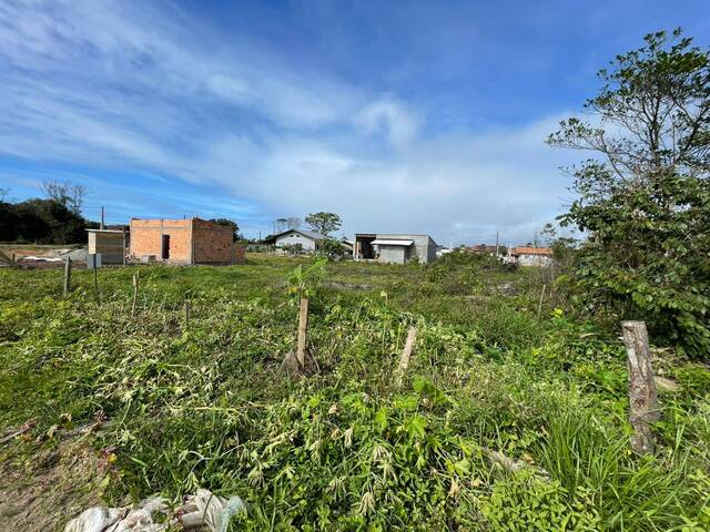 #2895 - Terreno para Venda em Balneário Barra do Sul - SC - 2
