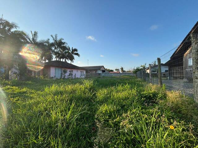 #2901 - Terreno para Venda em Balneário Barra do Sul - SC - 2
