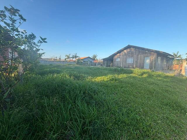 #2901 - Terreno para Venda em Balneário Barra do Sul - SC - 3