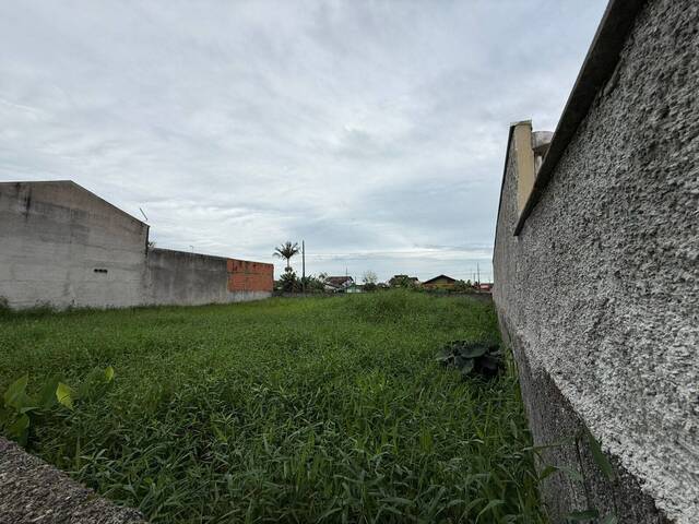 #2905 - Terreno para Venda em Balneário Barra do Sul - SC - 2