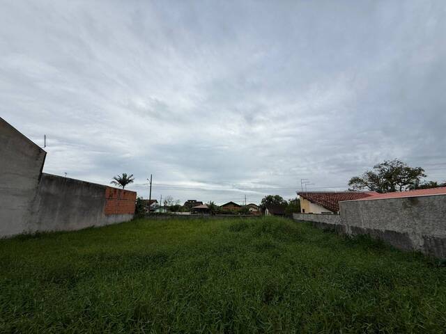 #2905 - Terreno para Venda em Balneário Barra do Sul - SC - 3