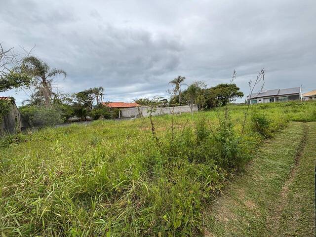 #2911 - Terreno para Venda em Balneário Barra do Sul - SC - 3