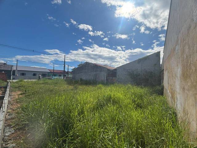 #2954 - Terreno para Venda em Balneário Barra do Sul - SC - 2
