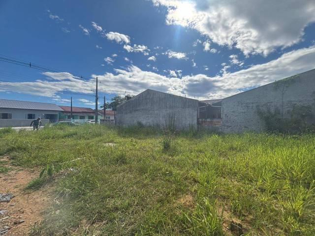 #2954 - Terreno para Venda em Balneário Barra do Sul - SC - 3