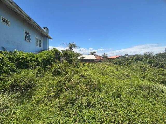 #2957 - Terreno para Venda em Balneário Barra do Sul - SC - 3