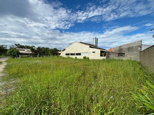#2989 - Terreno para Venda em Balneário Barra do Sul - SC - 2