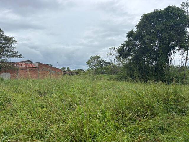 #2990 - Terreno para Venda em Balneário Barra do Sul - SC - 1