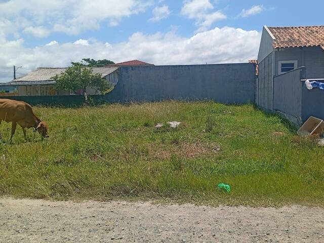 Terreno para Venda em Balneário Barra do Sul - 5