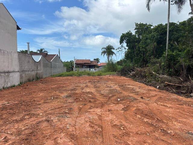 #3011 - Terreno para Venda em Balneário Barra do Sul - SC - 1