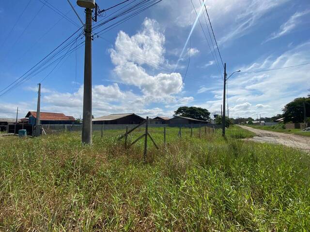 #3014 - Terreno para Venda em Balneário Barra do Sul - SC - 1