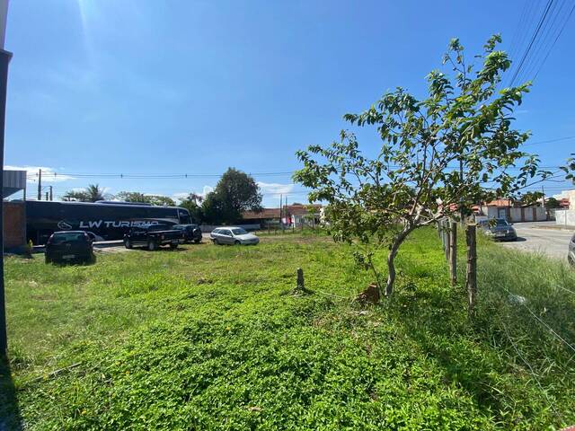 #3020 - Terreno para Venda em Balneário Barra do Sul - SC - 2