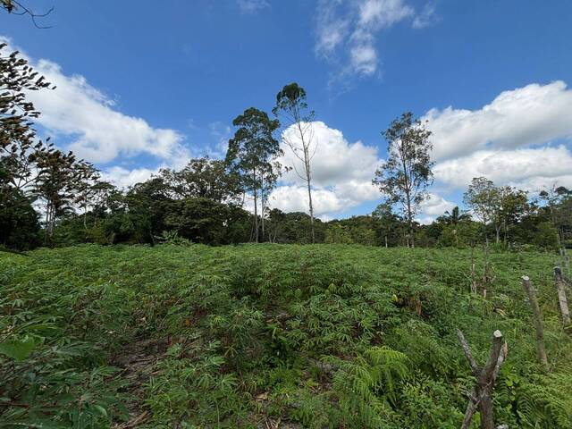 Terreno para Venda em Balneário Barra do Sul - 5