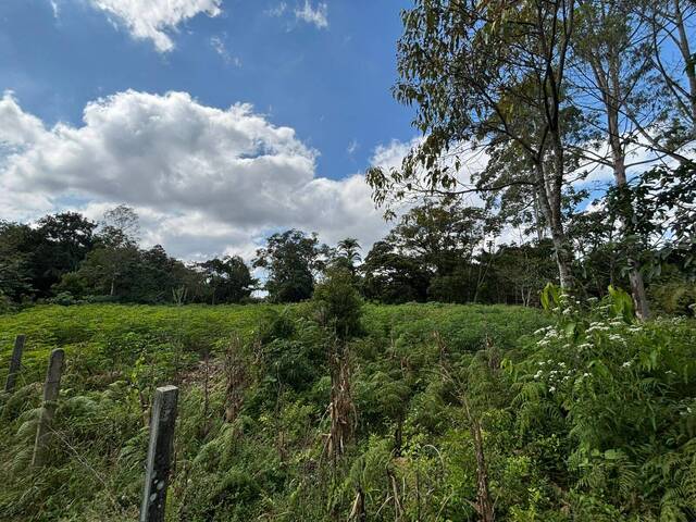 Terreno para Venda em Balneário Barra do Sul - 4