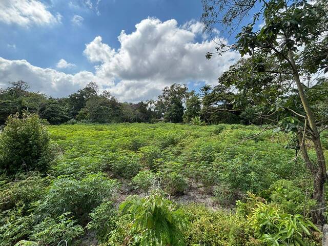 #3026 - Terreno para Venda em Balneário Barra do Sul - SC - 2