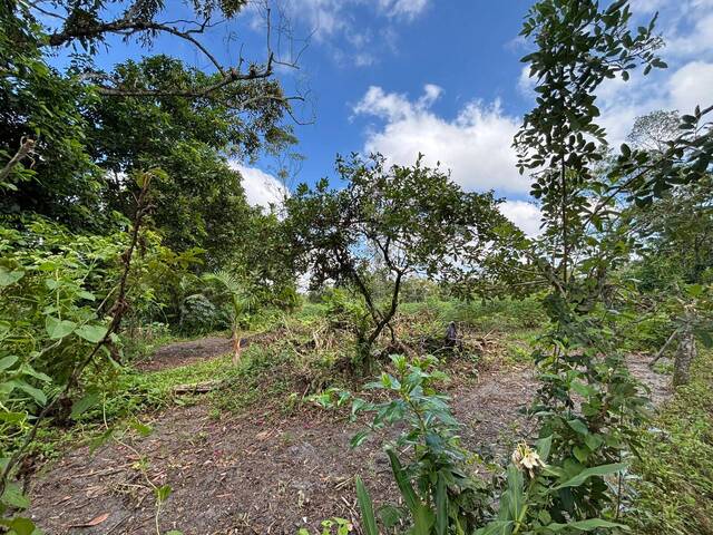 #3026 - Terreno para Venda em Balneário Barra do Sul - SC - 3