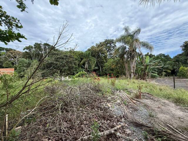 Terreno para Venda em Balneário Barra do Sul - 4