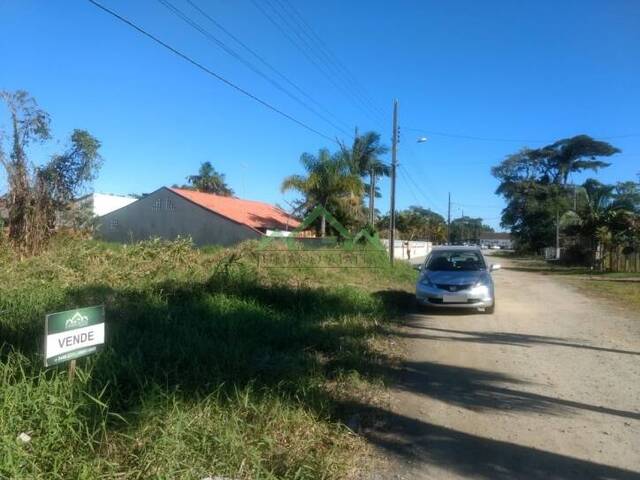 #1163 - Terreno para Venda em Balneário Barra do Sul - SC - 1