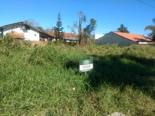 #1163 - Terreno para Venda em Balneário Barra do Sul - SC - 3