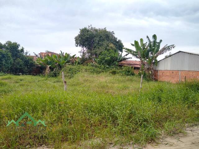 #2196 - Terreno para Venda em Balneário Barra do Sul - SC - 1