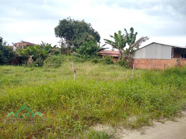 Terreno para Venda em Balneário Barra do Sul - 4