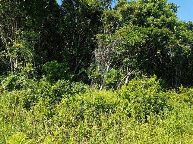 #2197 - Terreno para Venda em Balneário Barra do Sul - SC - 1