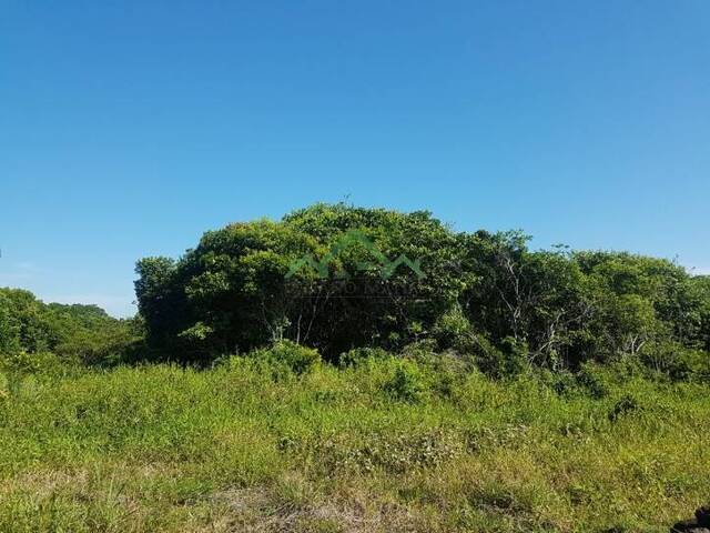 #2197 - Terreno para Venda em Balneário Barra do Sul - SC - 3