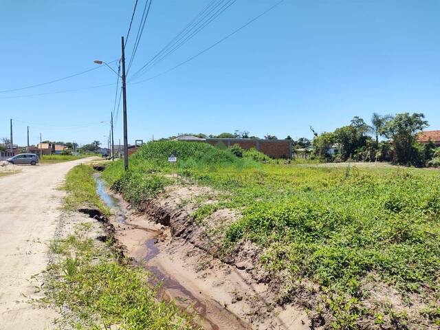 #2447 - Terreno para Venda em Balneário Barra do Sul - SC - 2