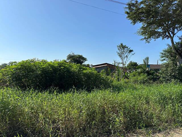 Terreno para Venda em Balneário Barra do Sul - 4