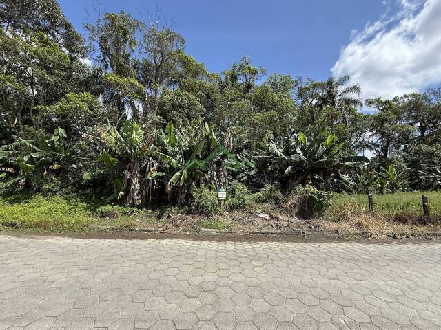 Terreno para Venda em Balneário Barra do Sul - 4