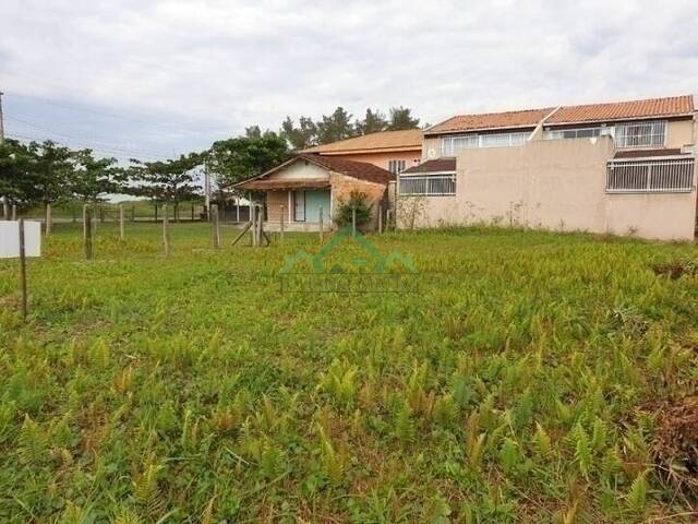 Terreno para Venda em Balneário Barra do Sul - 4